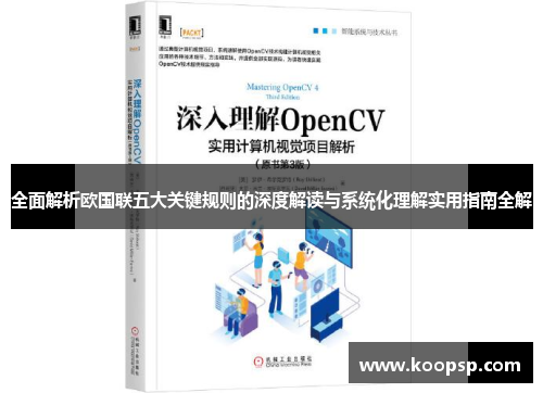 全面解析欧国联五大关键规则的深度解读与系统化理解实用指南全解